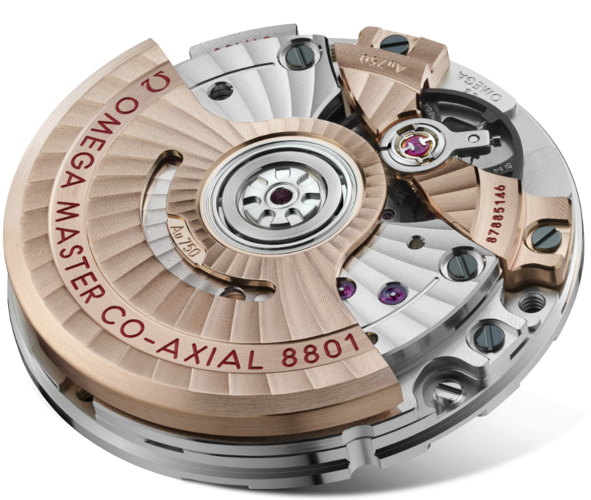 Omega-Seamaster-Planet-Ocean-600M-Master-Chronometer-Chocolate-2